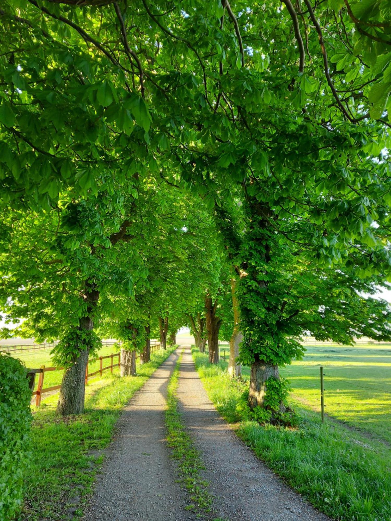 Lantligt Och Lugnt Boende Naera Natur Och Stad Svedala 外观 照片