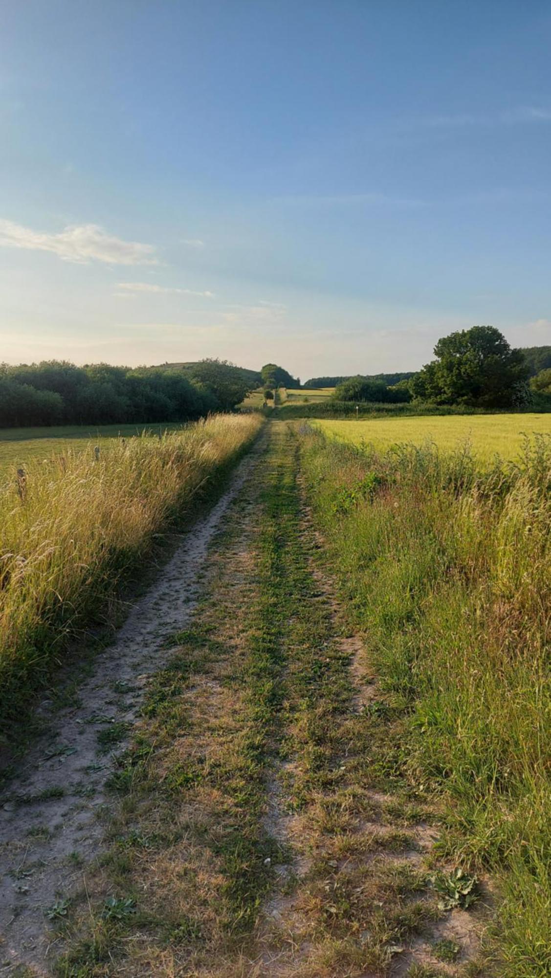 Lantligt Och Lugnt Boende Naera Natur Och Stad Svedala 外观 照片