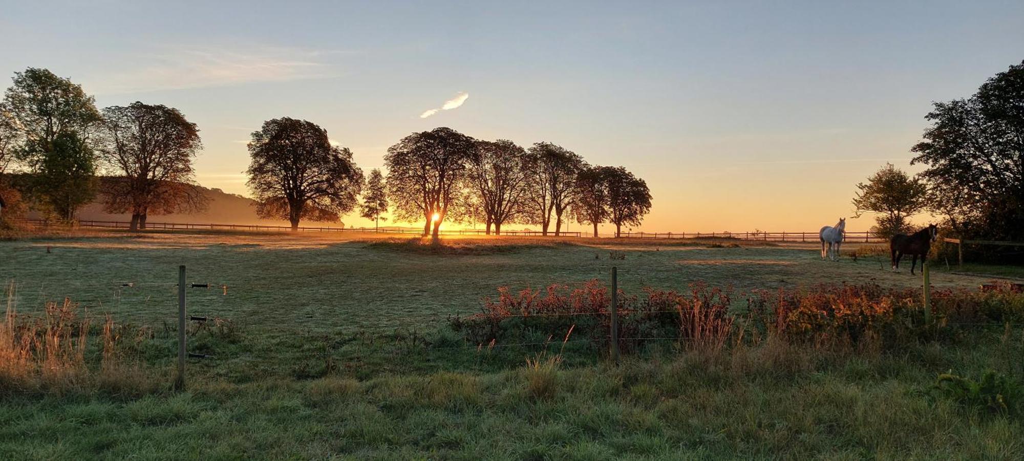 Lantligt Och Lugnt Boende Naera Natur Och Stad Svedala 外观 照片