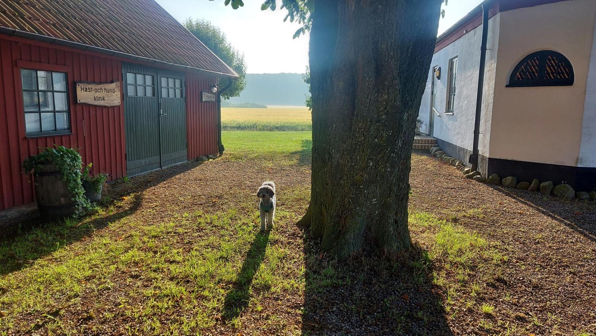 Lantligt Och Lugnt Boende Naera Natur Och Stad Svedala 外观 照片