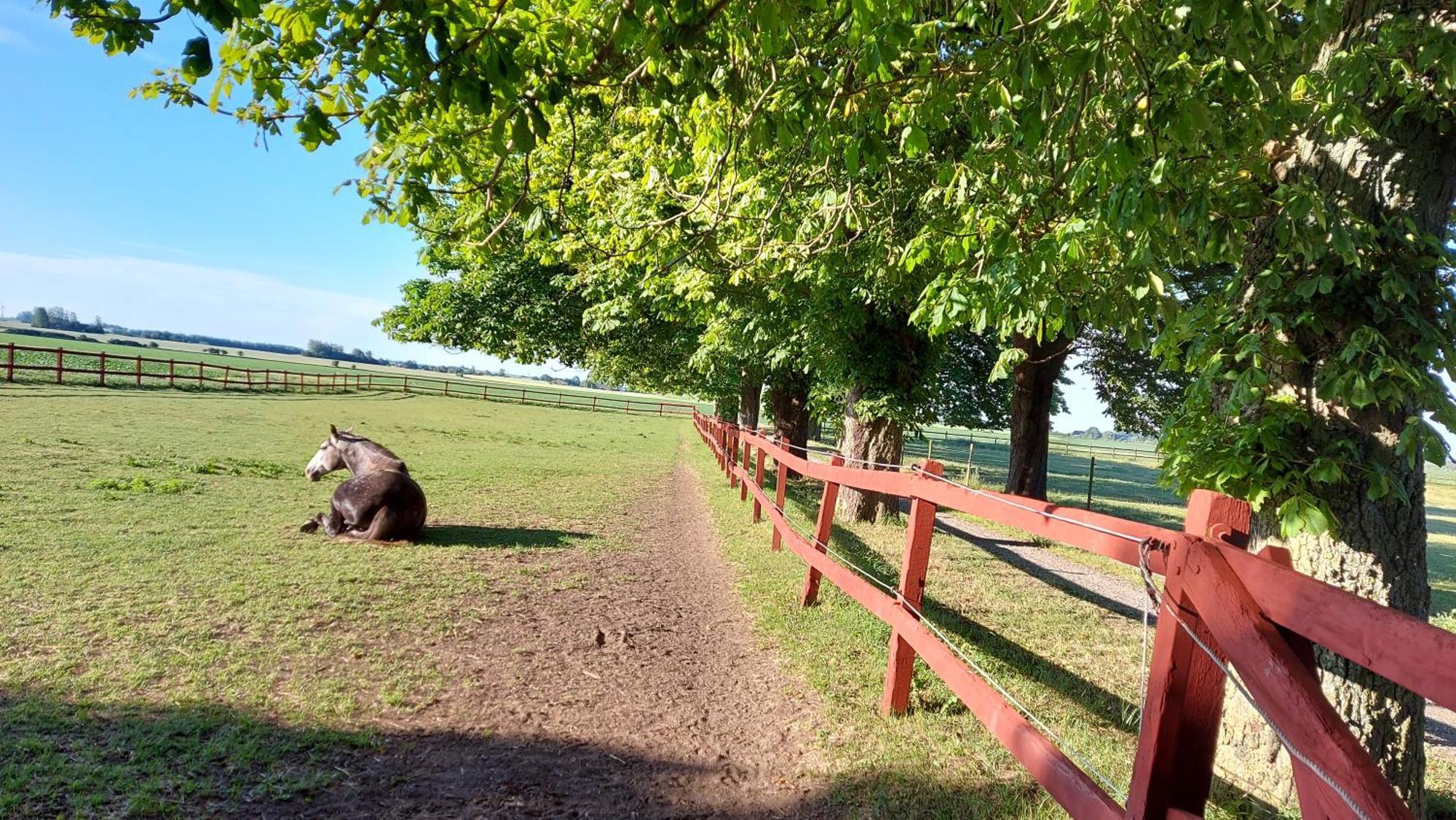 Lantligt Och Lugnt Boende Naera Natur Och Stad Svedala 外观 照片