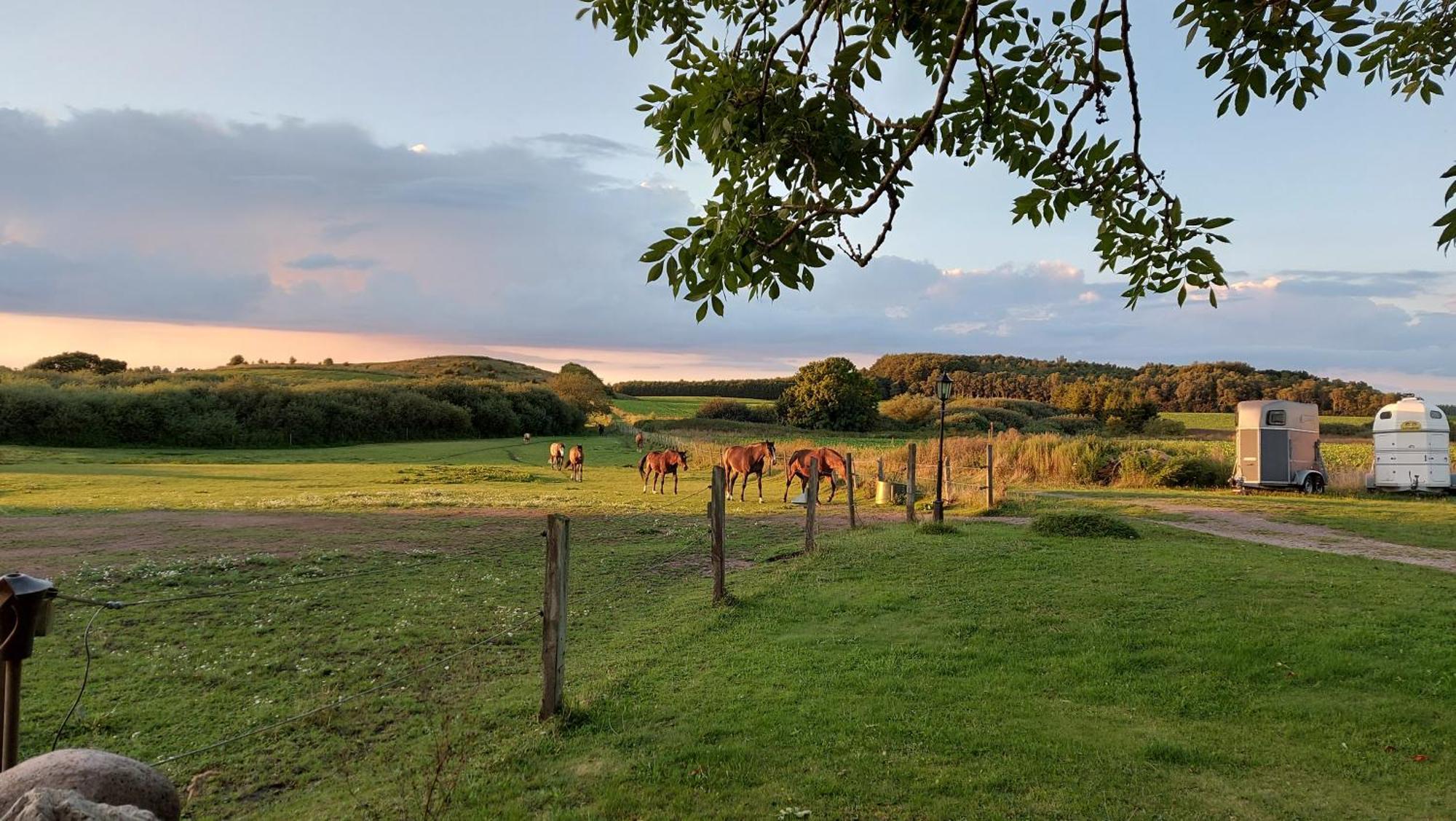 Lantligt Och Lugnt Boende Naera Natur Och Stad Svedala 外观 照片