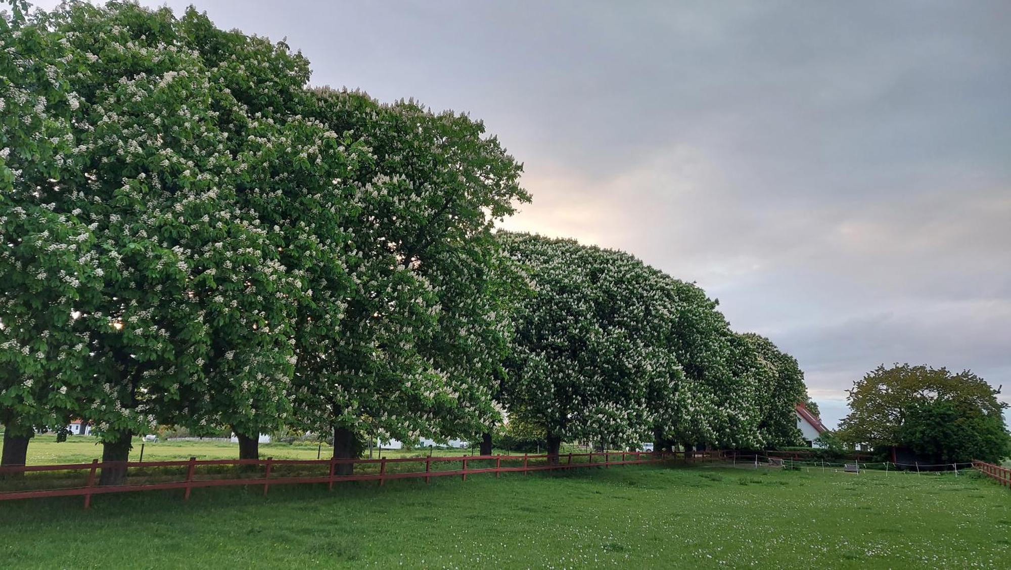 Lantligt Och Lugnt Boende Naera Natur Och Stad Svedala 外观 照片