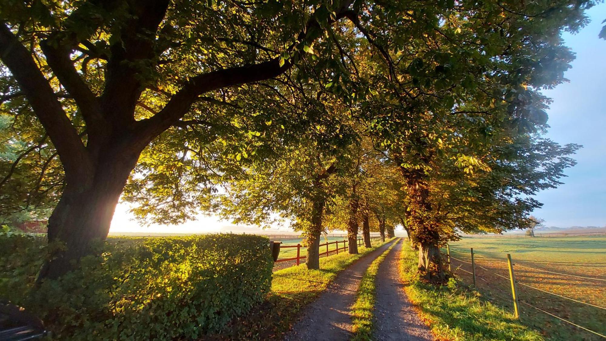Lantligt Och Lugnt Boende Naera Natur Och Stad Svedala 外观 照片